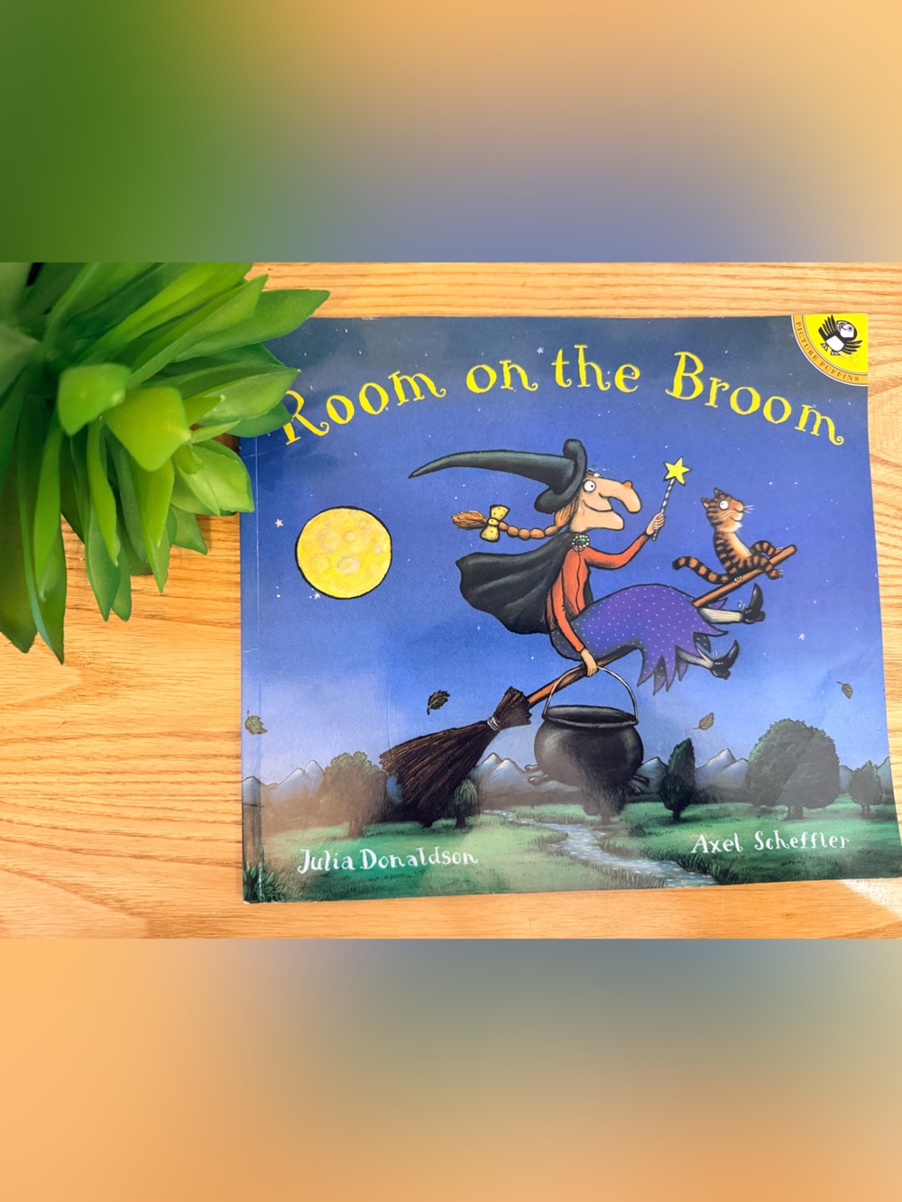 💫10/$25 • Room On The Broom Paperback